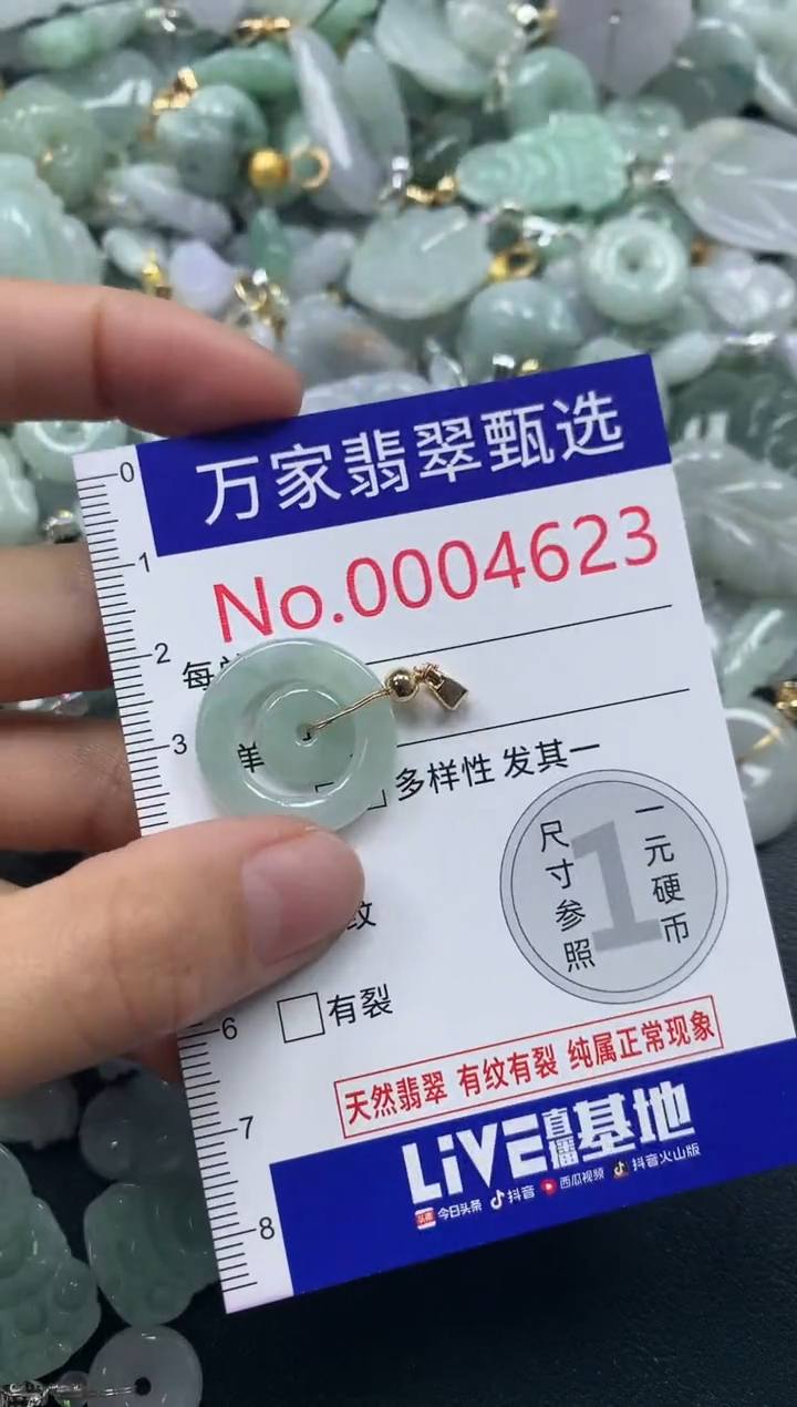 吊坠(不含链)未镶嵌翡翠4623