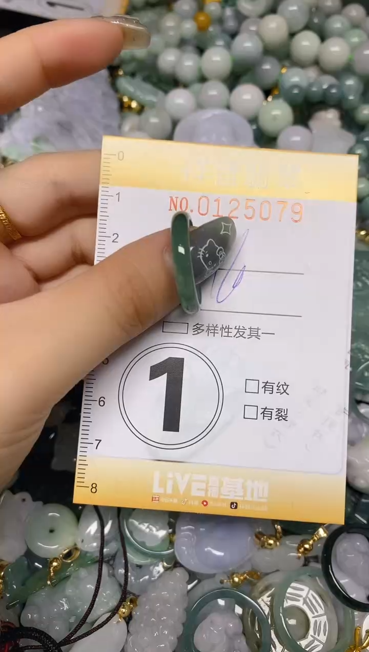 【闪购商品】翡翠颈饰未镶嵌闪购0125079