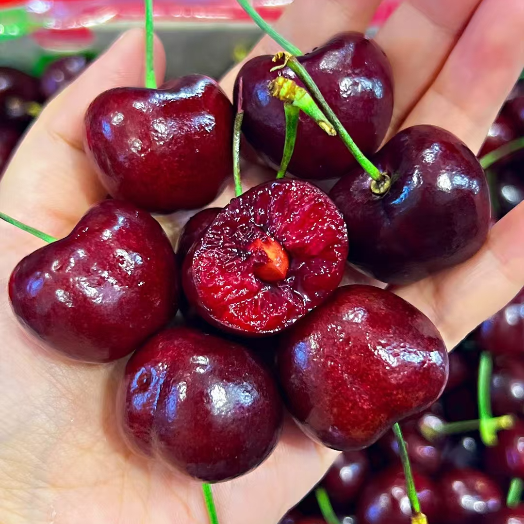 【拉萨小时达】新鲜智利进口车厘子 JD2斤（果径26-28mm）桑提娜海运桑提娜澳大利亚