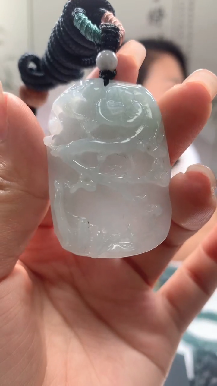 【闪购商品】翡翠未镶嵌颈饰翡翠