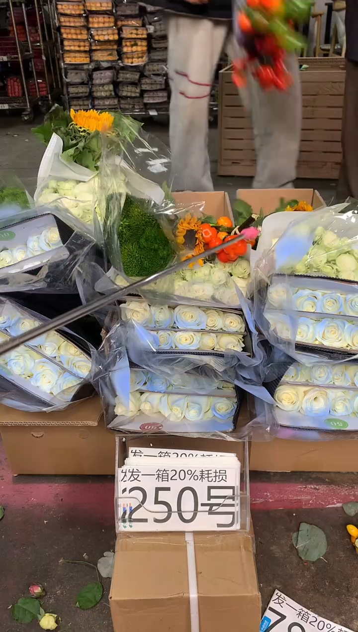 250号♥含20%耗损发一箱