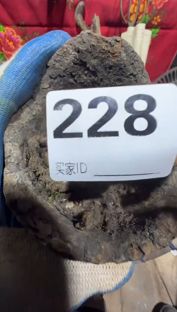 用****10818老王直播间专属链接