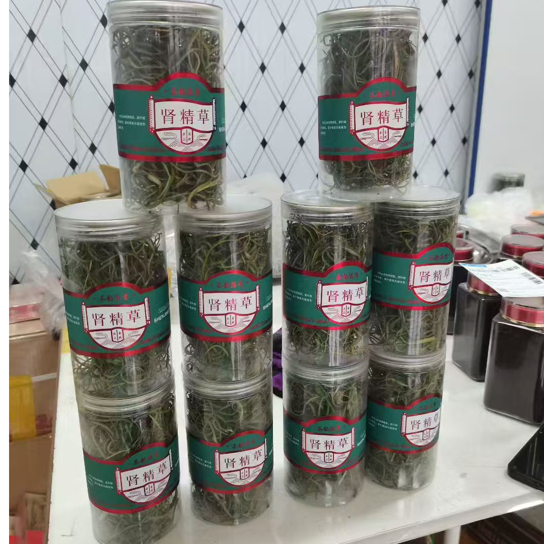 长白山深山化石草黄金草可泡茶煮水