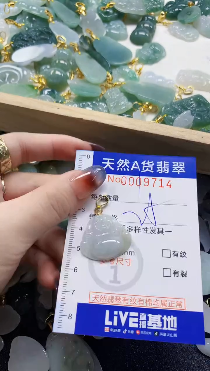 颈饰未镶嵌翡翠天然A货翡翠