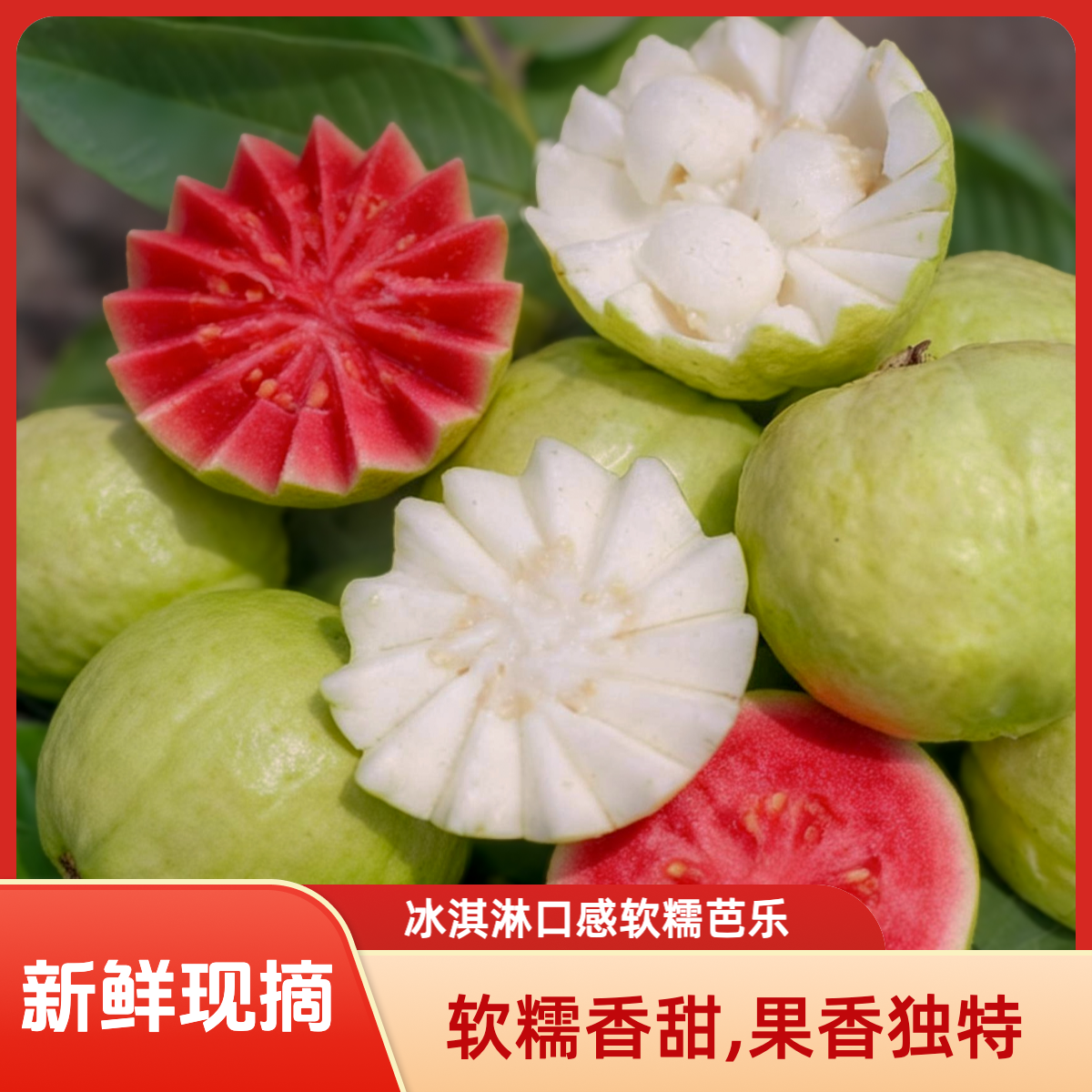 「冰淇淋口感」软糯软心奶油白心红心芭乐水果新鲜白心红心番石榴