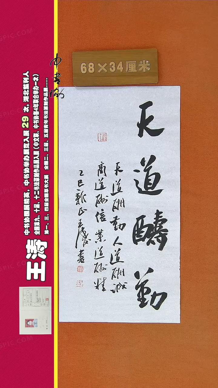 【闪购商品】书法824a王涛书法作品