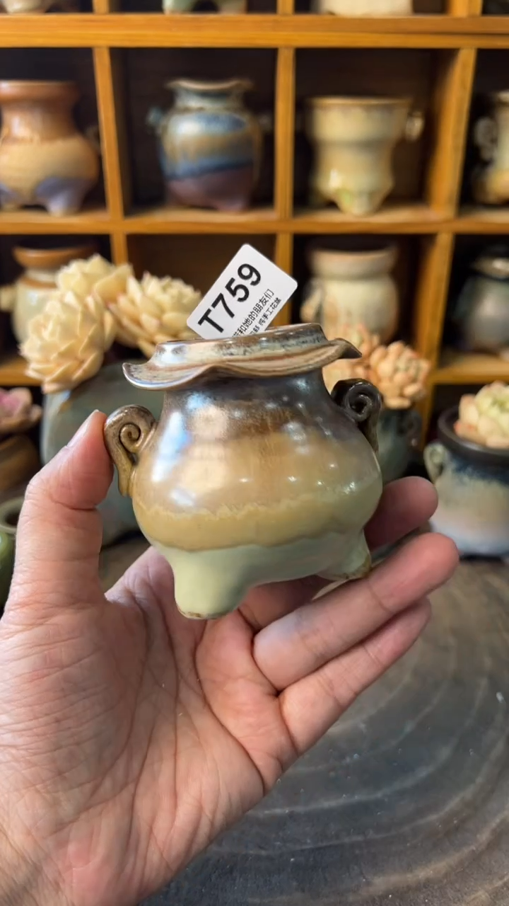 759 内口4【多肉花盆多肉盆】