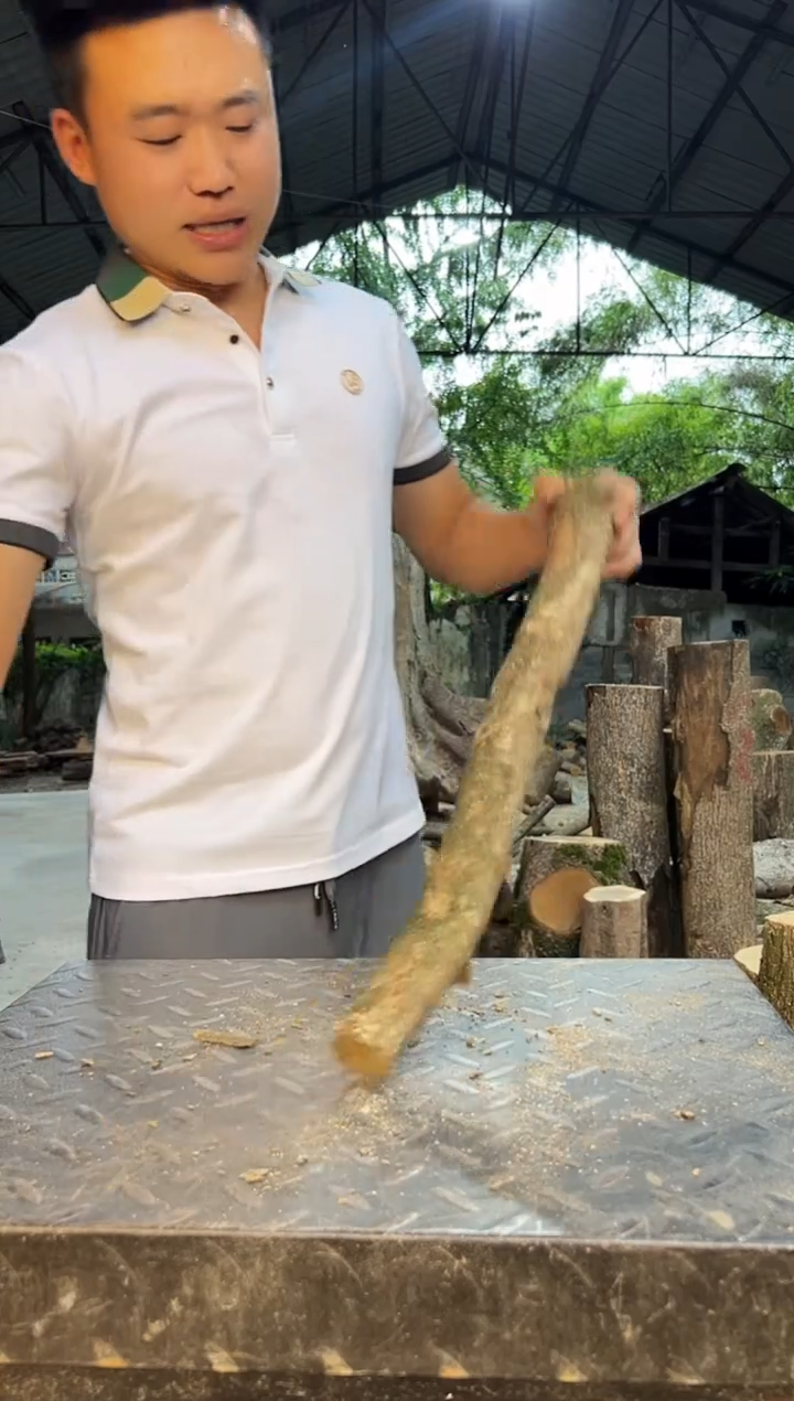 四川小叶桢楠金丝楠