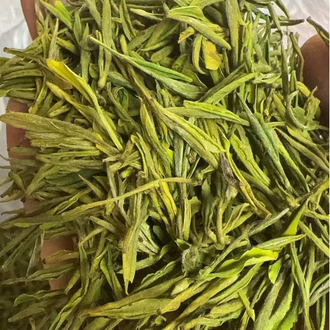 【老六严选】2025年绿茶 DA奶白2号花香带奶香嫩茶香50g/100g