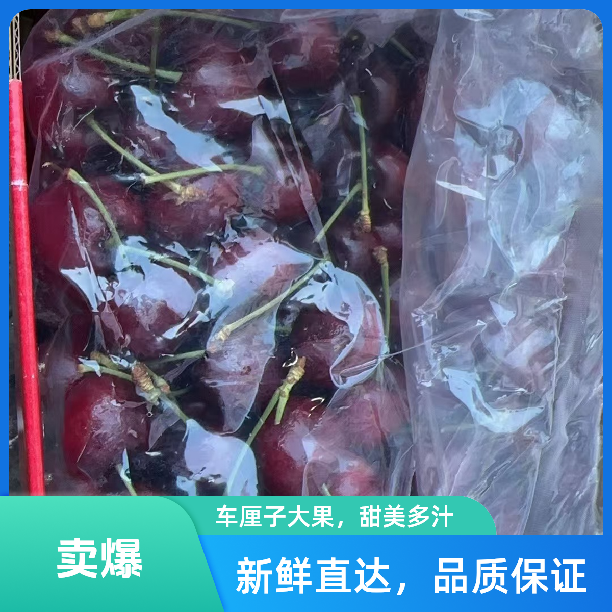 都乐拉宾丝  车里子/樱桃 JJd 4.8斤±2内附果径卡（10颗内 机箱伤属正常 介意勿拍）【顺丰包邮今天拍明天到】