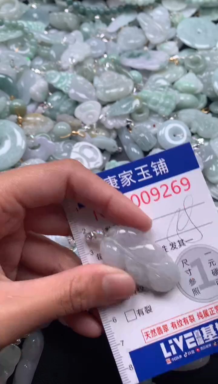 颈饰未镶嵌翡翠9269