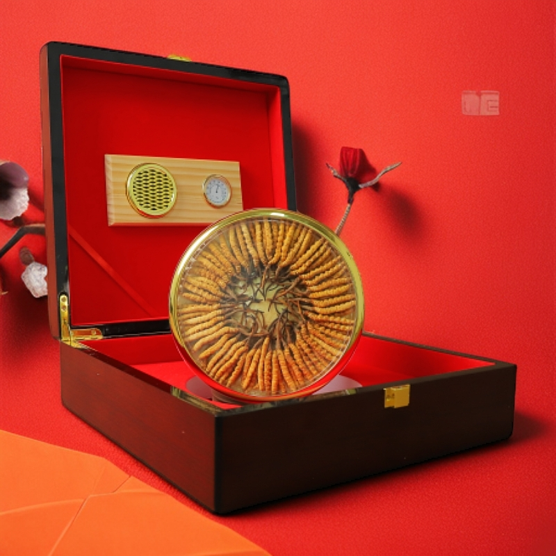 【小草王礼盒福利】头期干虫草3.5根/克400根礼盒送人家用煲汤亓亓