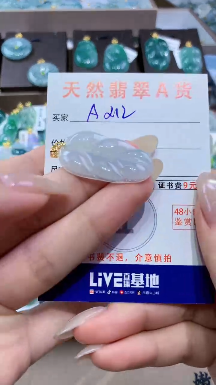 颈饰未镶嵌翡翠天然缅甸翡翠A货挂件 