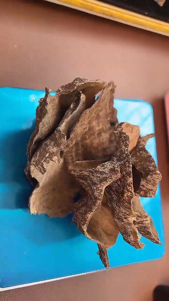 香料越南老老惠安沉水壳料18.59克