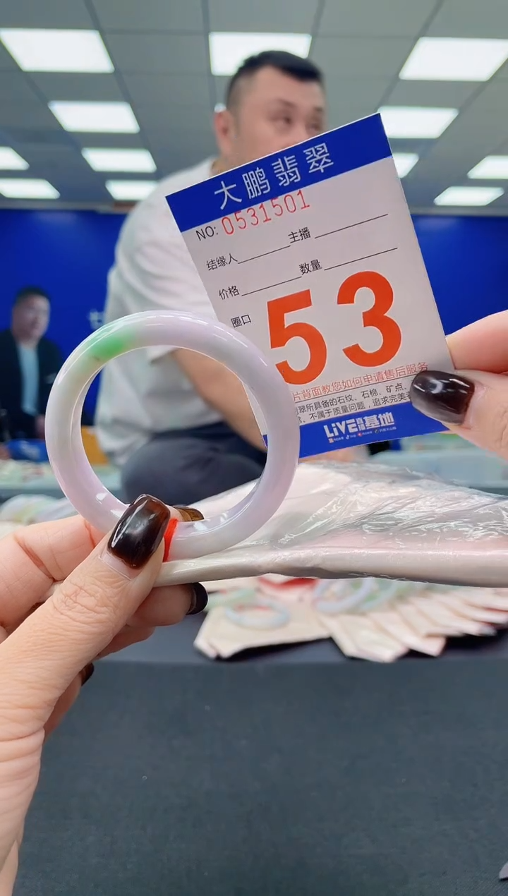 未镶嵌手镯翡翠AAAAAAAAAA