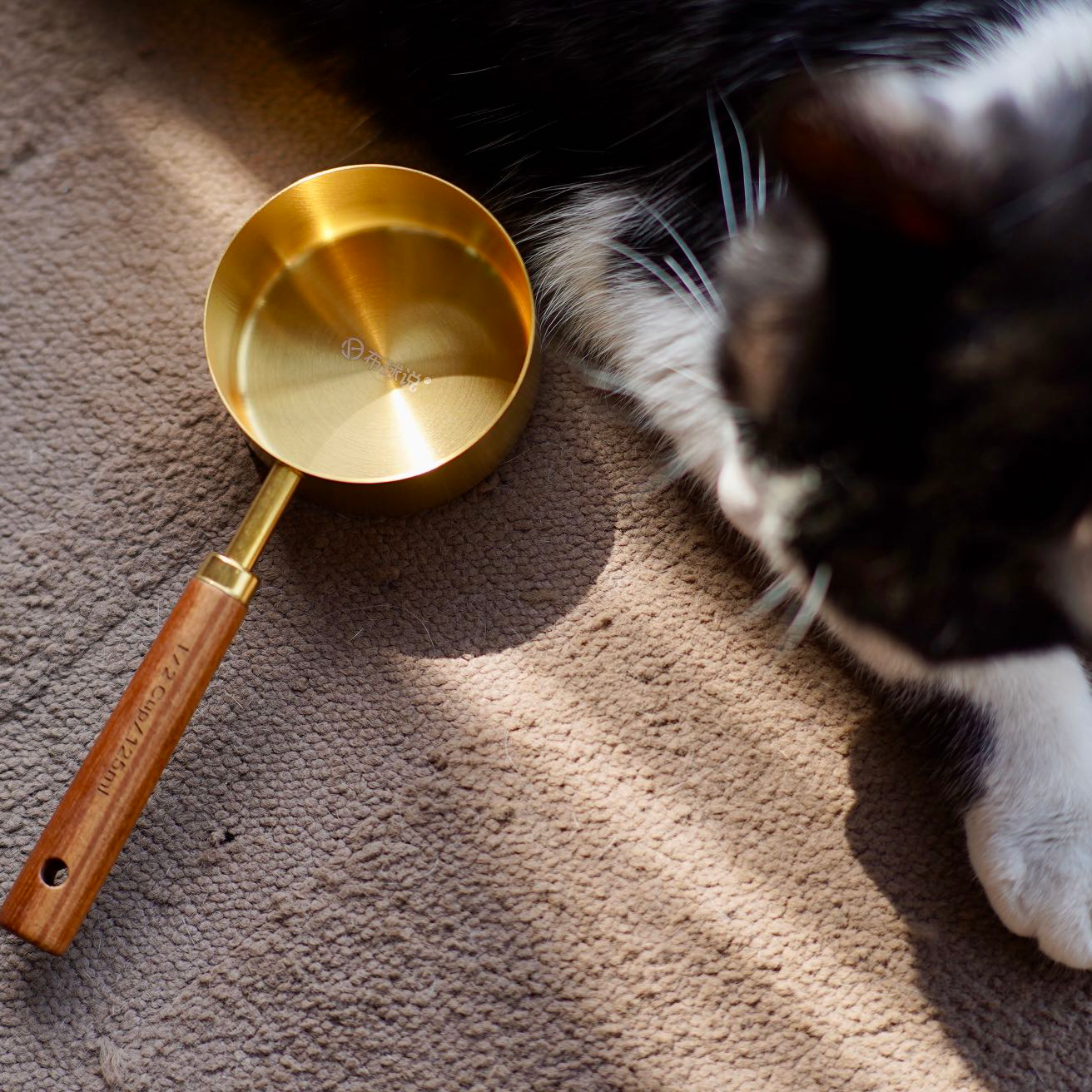 布球说金铲铲猫粮勺子