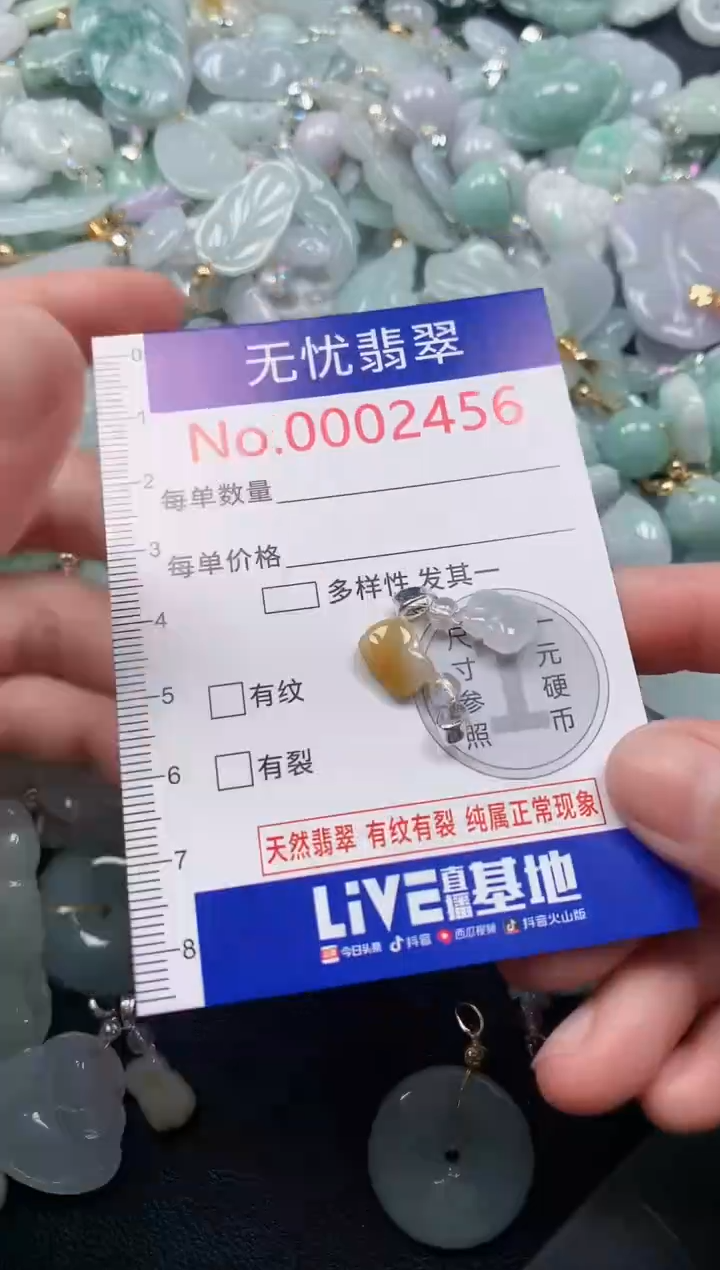 颈饰未镶嵌翡翠2456