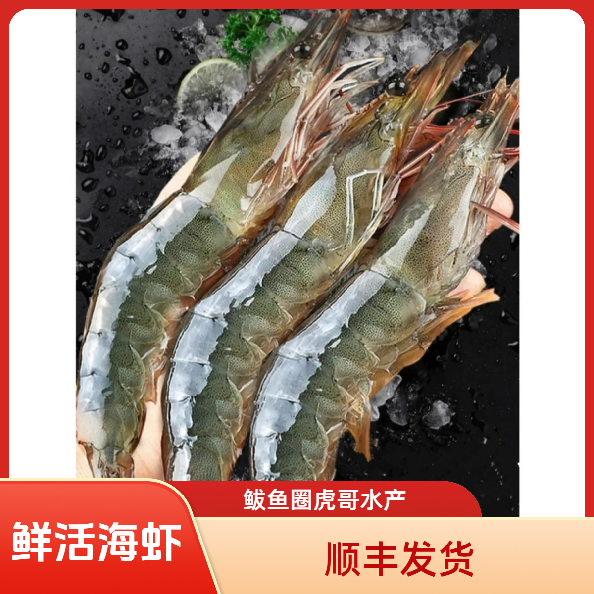 本海鲜活红毛海青虾.口感q弹、每斤15-18个左右（顺丰发货）