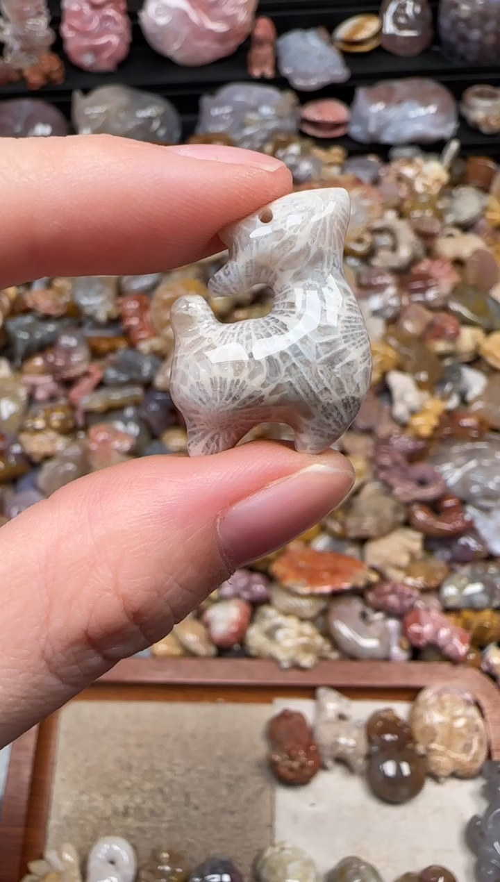 颈饰未镶嵌硅化珊瑚（珊瑚玉）197