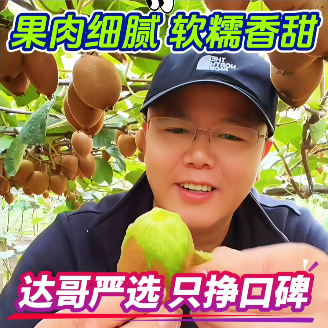 【达哥严选】正宗陕西周至翠香猕猴桃2025鲜果软糯细腻 甜蜜多汁