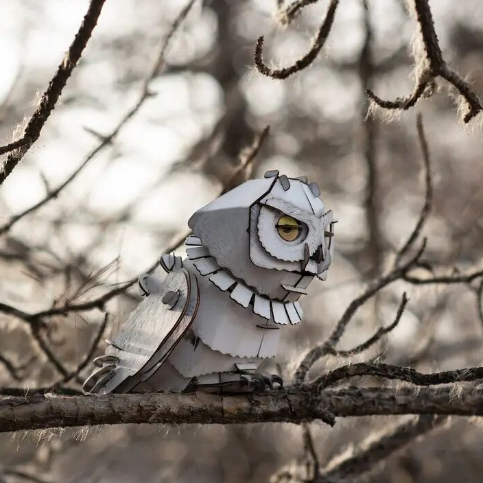 中国国家地理•梦巴格 （全套链接）