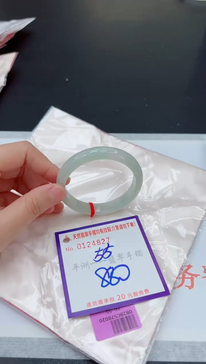 未镶嵌手镯翡翠11111