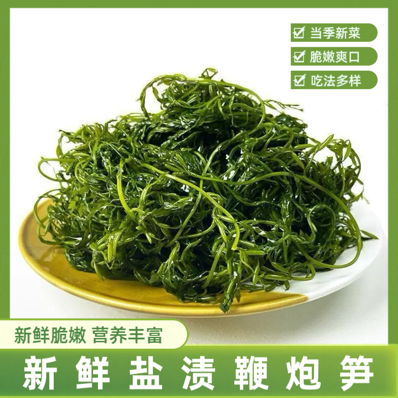 鞭炮笋火锅食材海藻菜羊栖凉拌菜海草火炮菜长寿菜龙须盐渍马尾藻