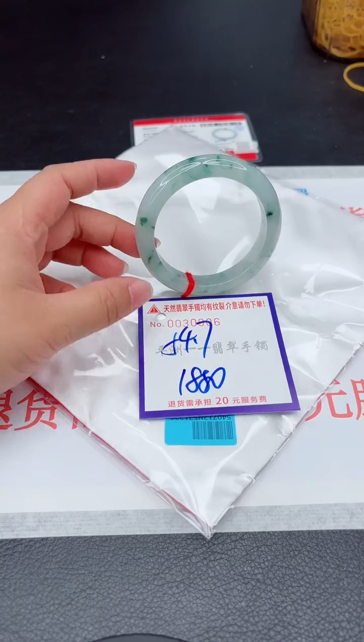 未镶嵌手镯翡翠1