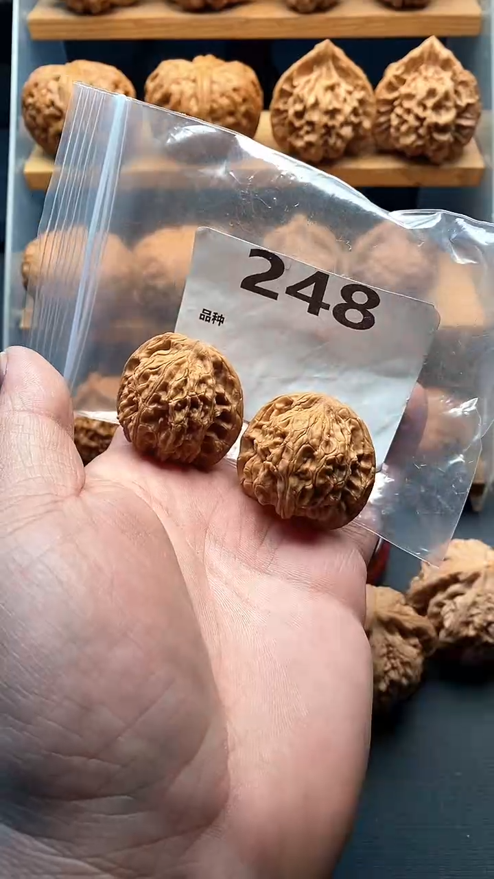 【闪购商品】文玩核桃吊坠248号38尺寸血麒麟全品