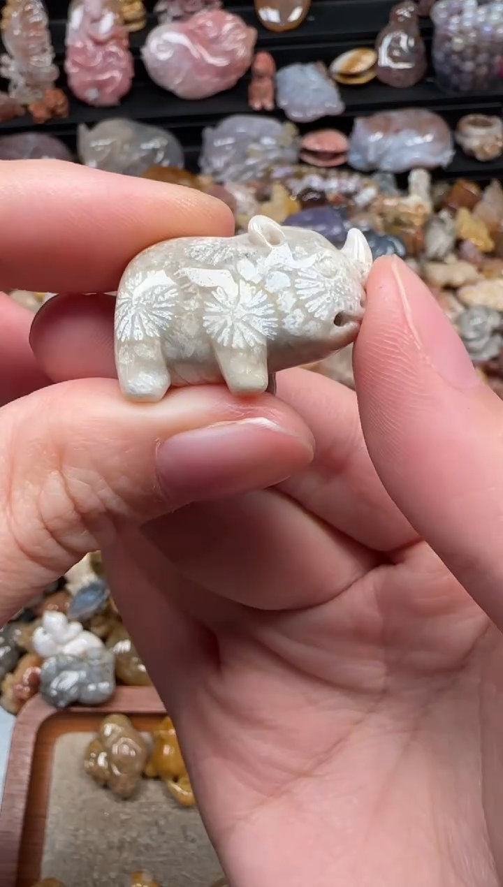 颈饰未镶嵌硅化珊瑚（珊瑚玉）867