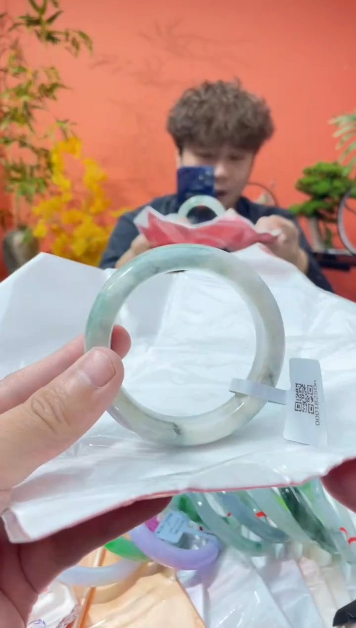 未镶嵌手镯翡翠2