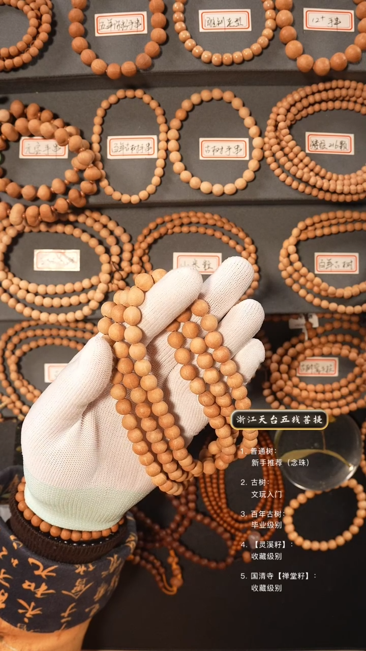 【闪购商品】五线菩提吊坠原皮脖挂9+