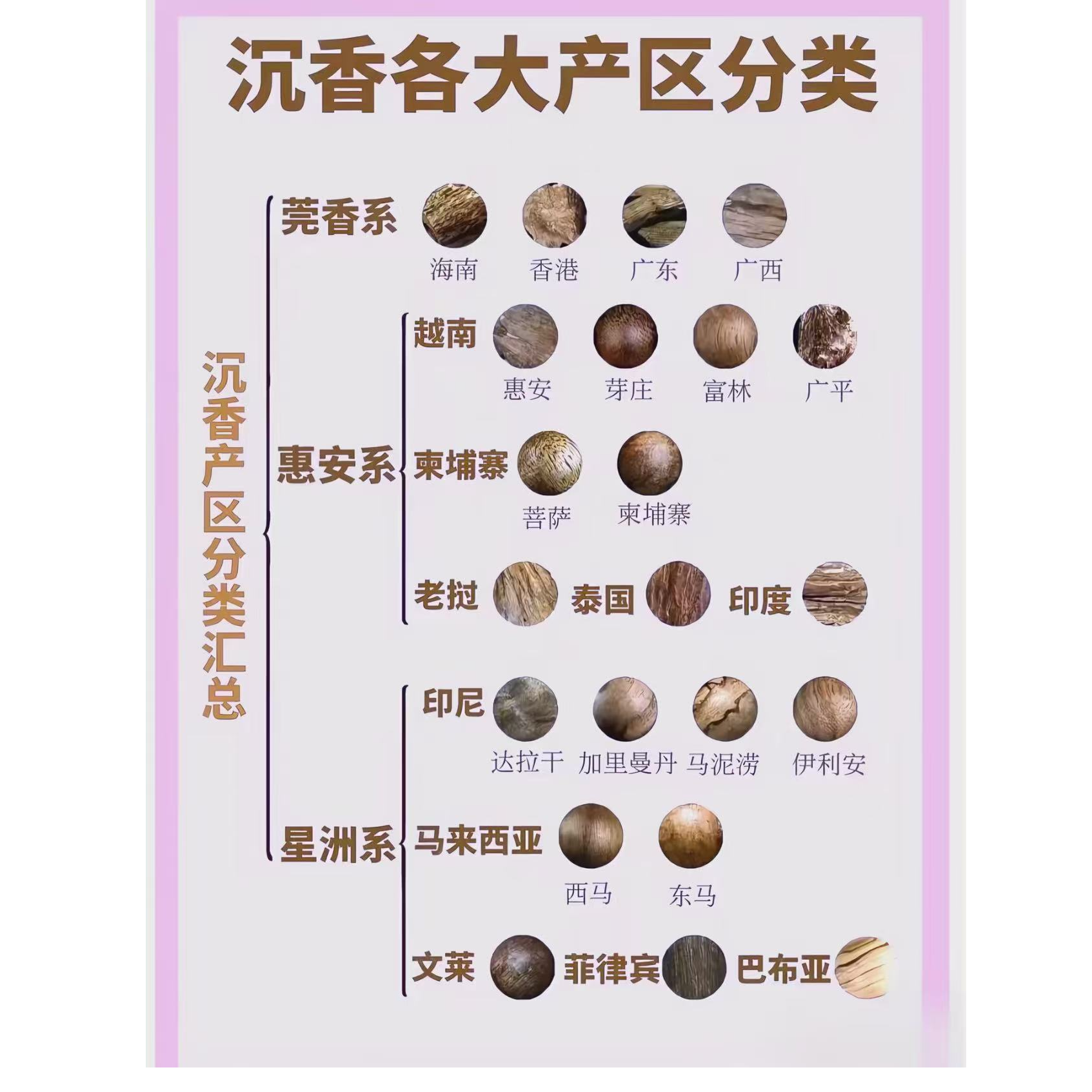 沉香蚁王--精选好物文创011