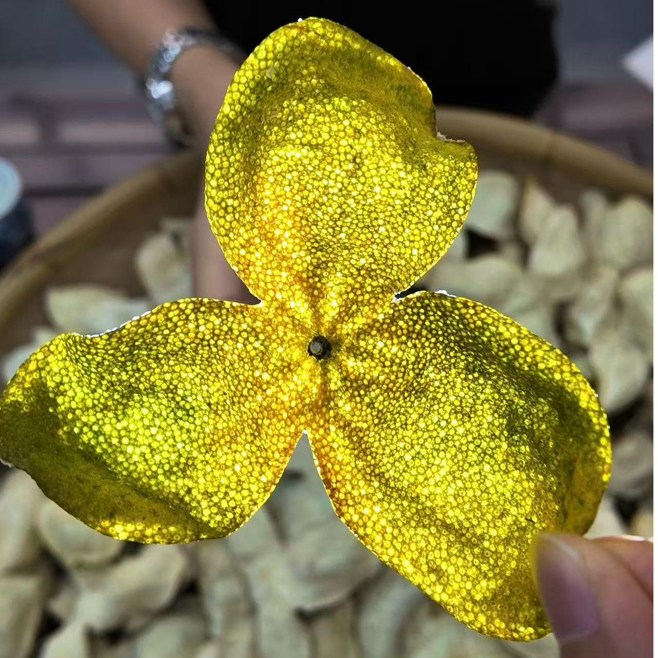 【原枝二红】2025年 梅江核心产区老树原枝二红 