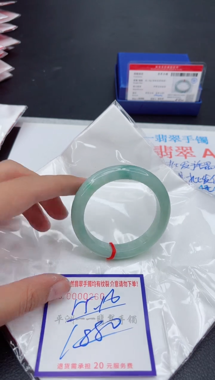 未镶嵌手镯翡翠1