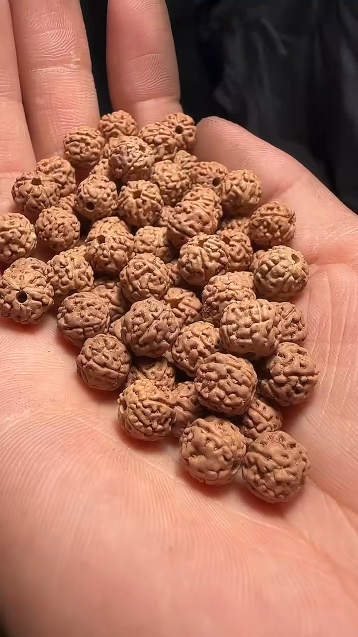 金刚菩提手串非全品原桩一代龙8-9mm一份一百颗