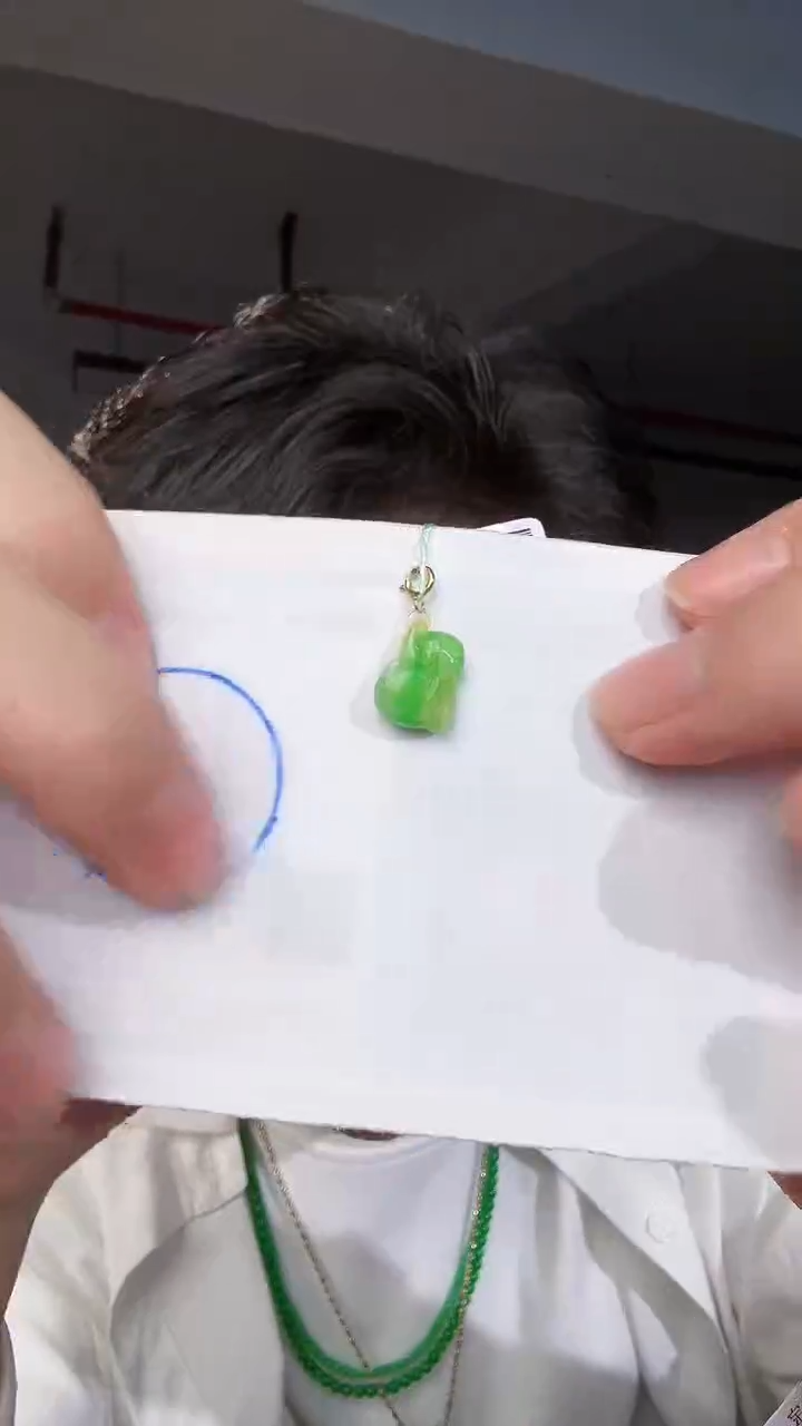 【闪购商品】翡翠颈饰18K金镶嵌缅料A货翡翠/支持复检/一件