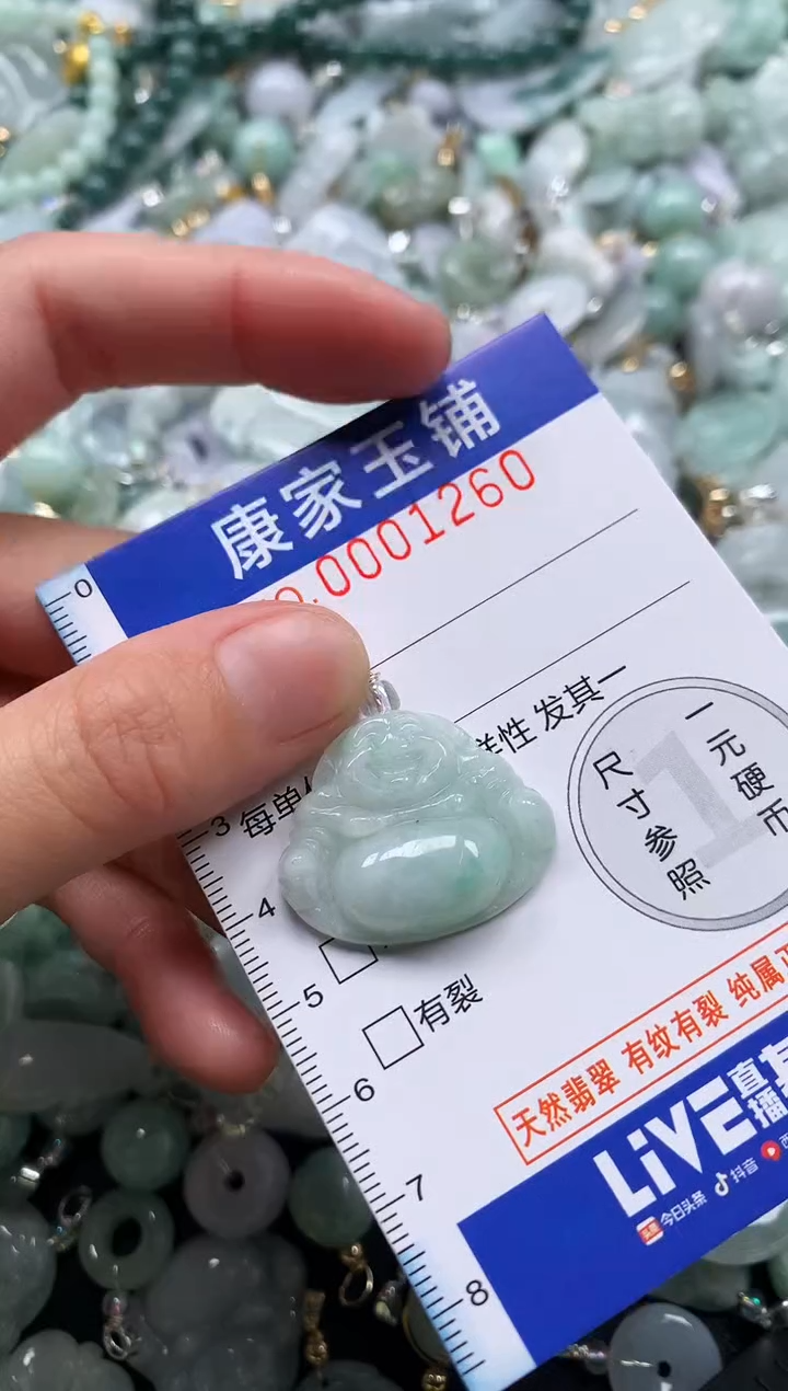 颈饰未镶嵌翡翠1260