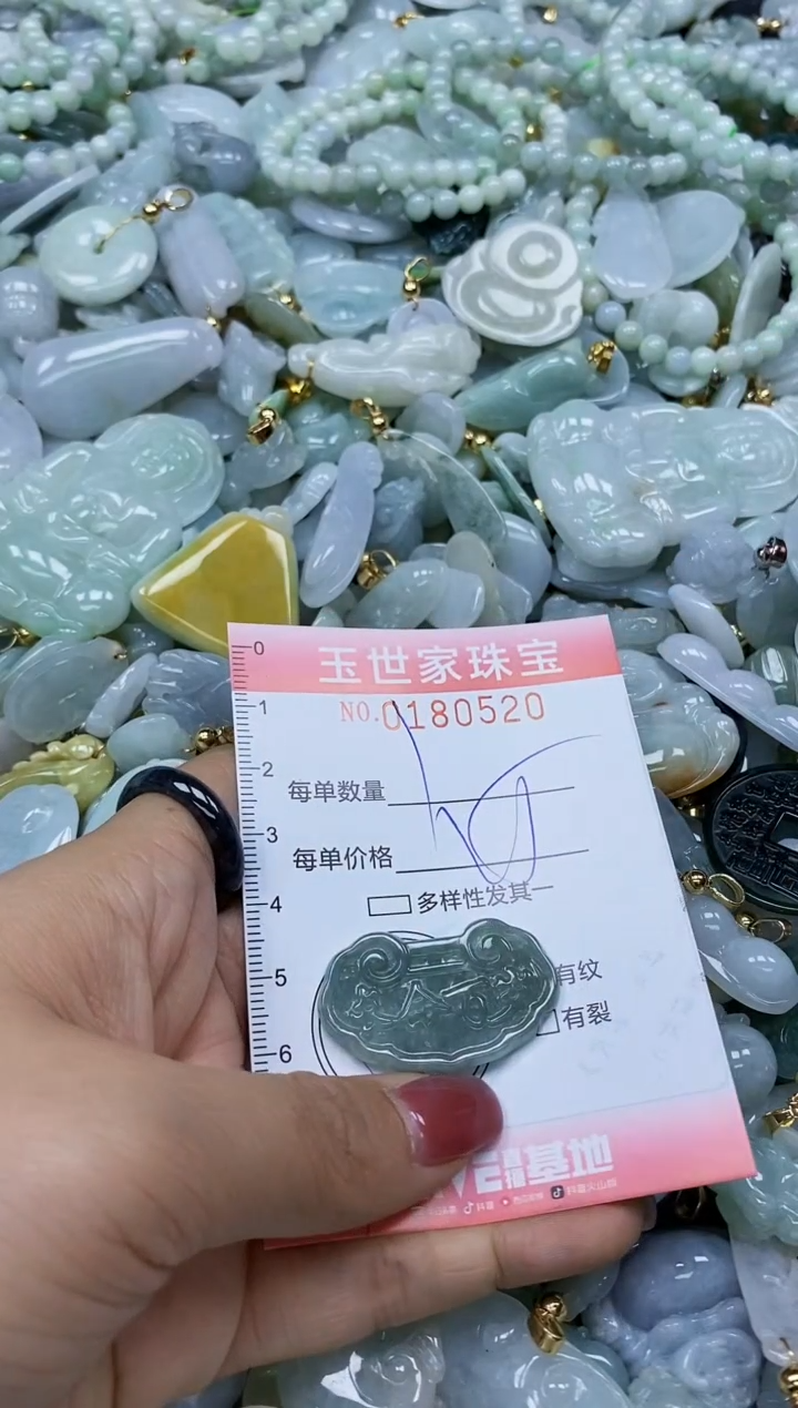 【闪购商品】翡翠颈饰未镶嵌闪购0180520