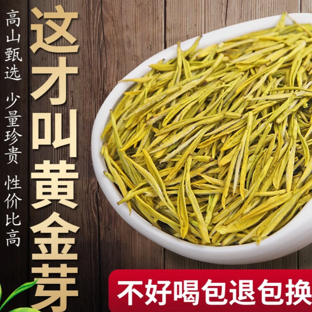 【2025年雨前新茶福利款】黄金芽浓香耐泡高豆香口粮茶茶叶礼盒送人