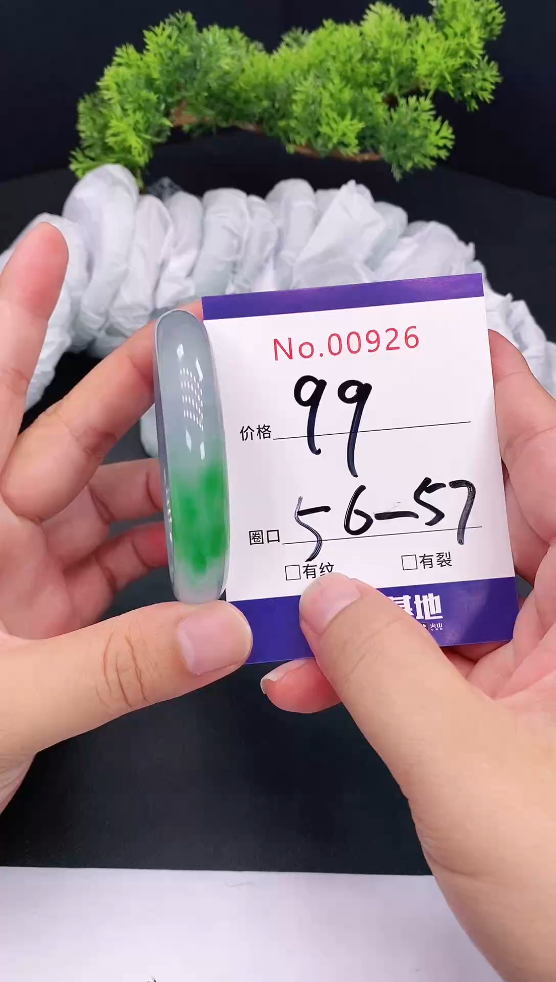 未镶嵌手镯翡翠0926