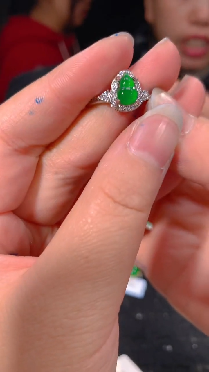 【闪购商品】定制翡翠未镶嵌53多样性发货（发其一）