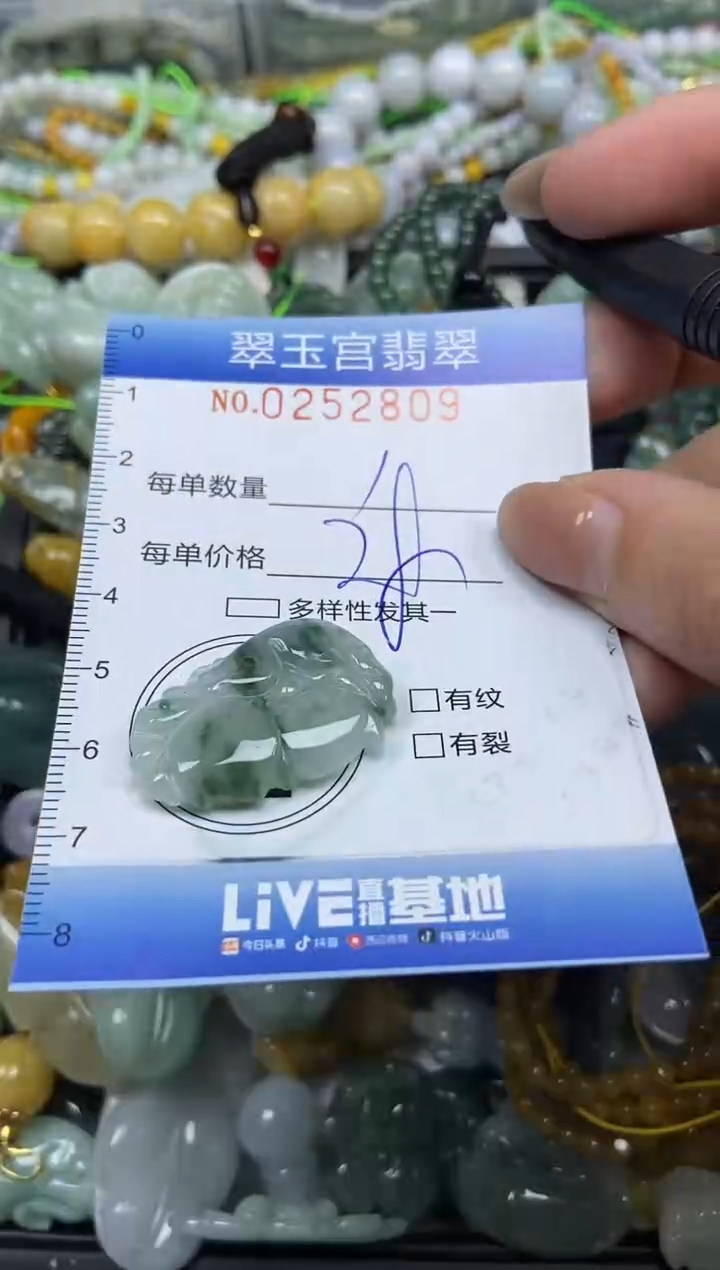 颈饰未镶嵌翡翠闪购C0252809