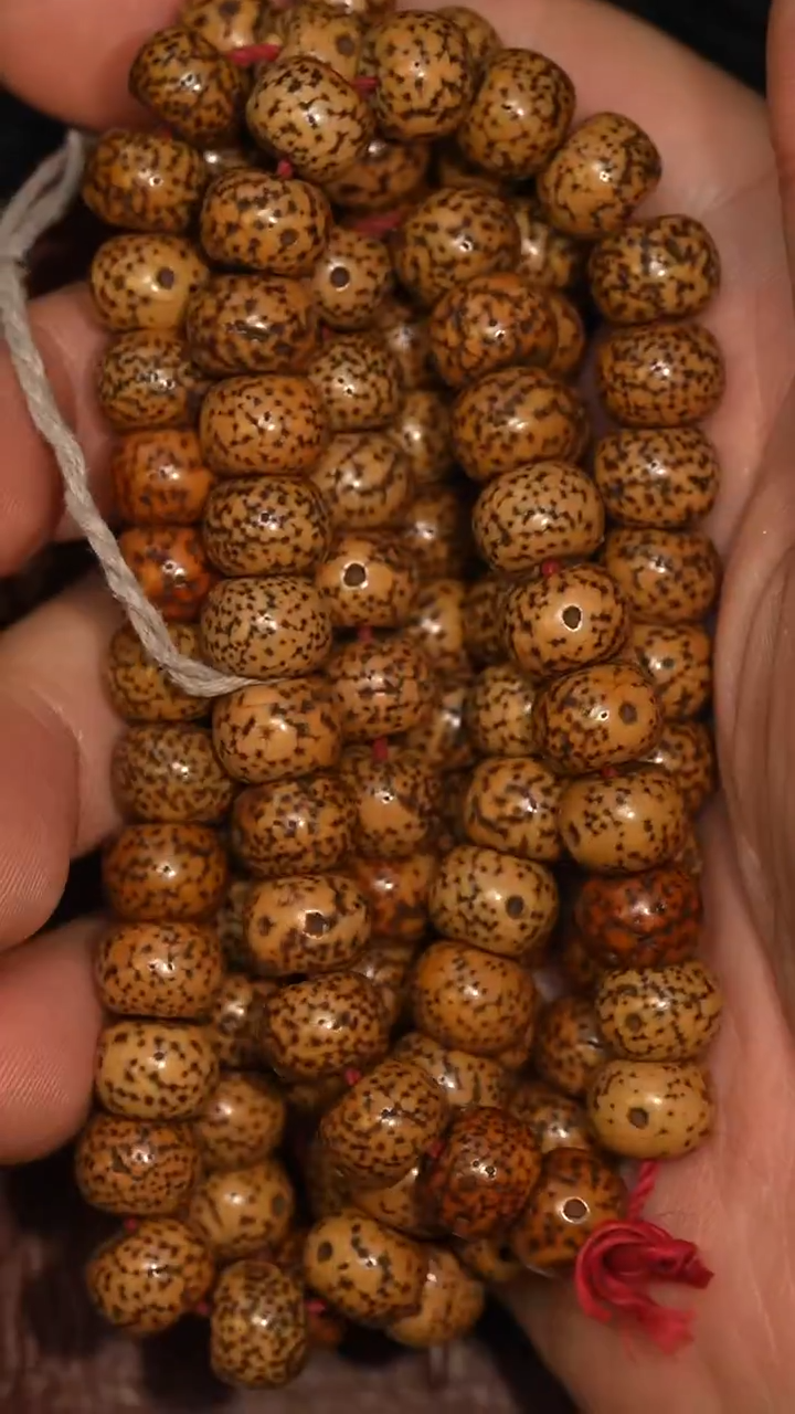 冲赛康胡子哥，藏传念珠247