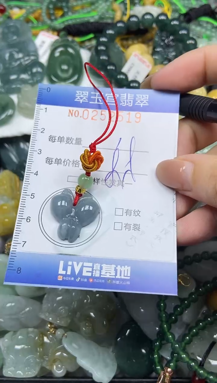 颈饰未镶嵌翡翠闪购C0252519