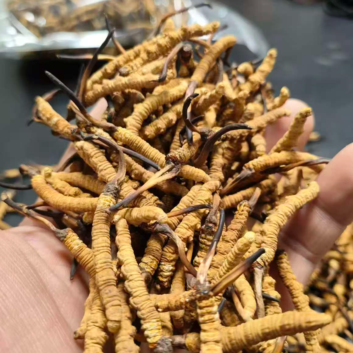 正宗玉树高山高海拔99藏干冬虫夏草 5-6根1克 滋补食材可煲汤泡茶