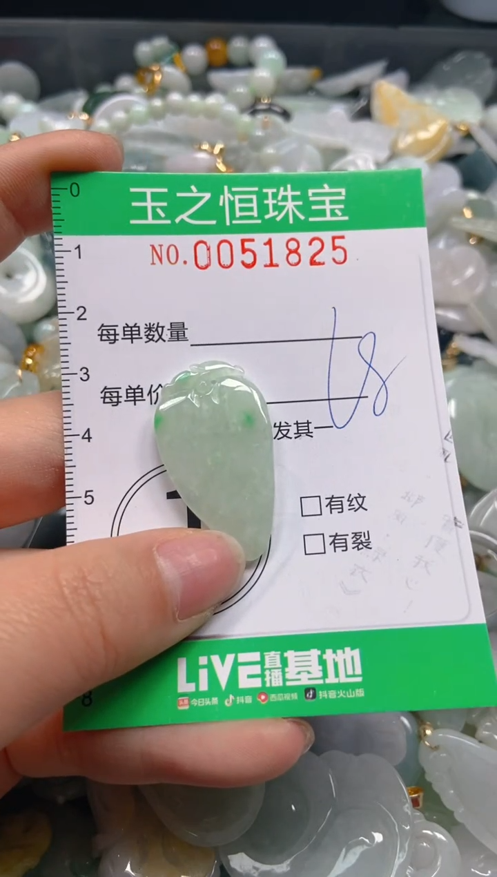 【闪购商品】翡翠颈饰未镶嵌闪购0051825