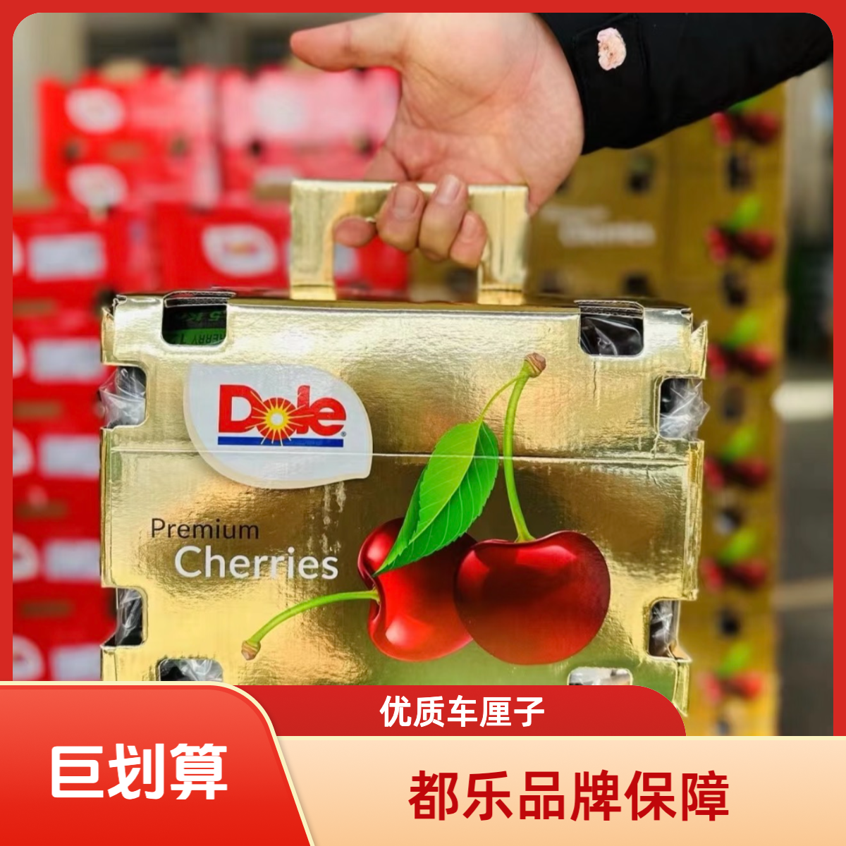 3JD【金都乐】智利空运车厘子桑提娜脆甜多汁宝宝孕妇400-2500g新鲜水果内附果径卡桑提娜樱桃智利共和国