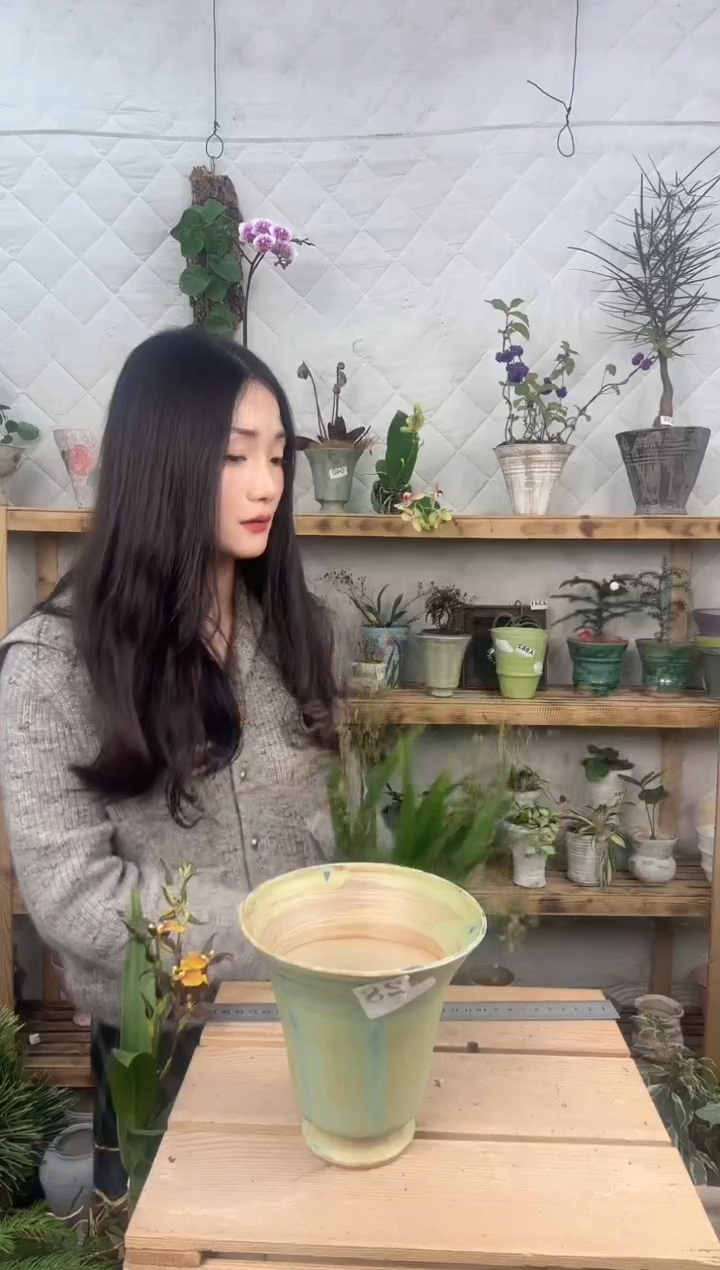 无花朵编号  428景德镇手工盆