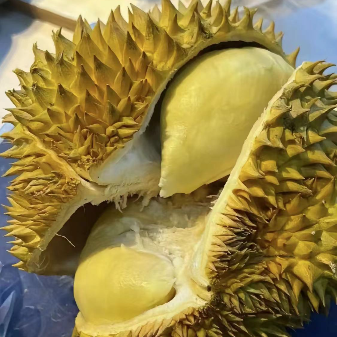【大叔手挑 金枕榴莲】精挑细选树上熟 丝滑香甜 【寄存驿站不售后】